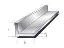 Winkelprofile ungleichschenklig 100x50x10,0mm Aluminium...