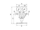 Leitungsdruckregler 200 bar, inkl. Mano, G 1/4 IG, 1 - 50...